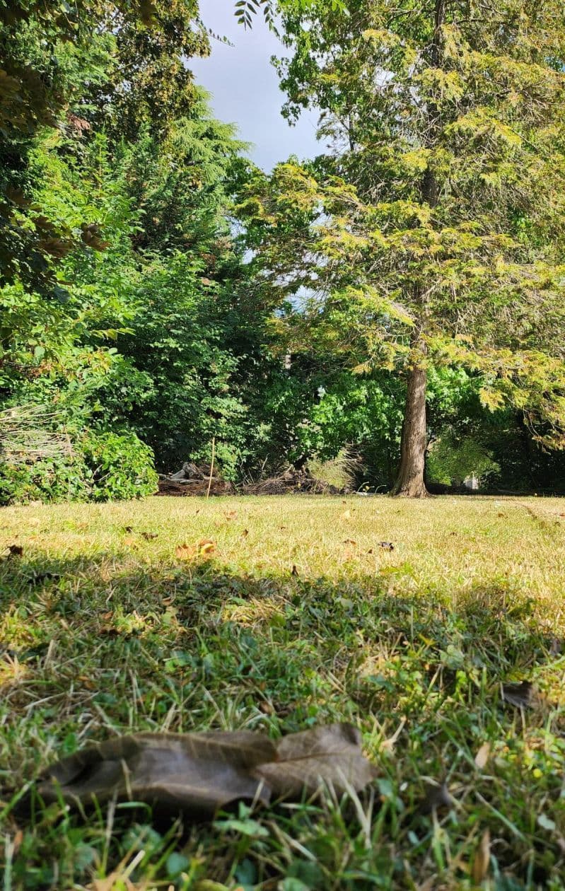 Terrain 156 rue raymond poincarré (91) - 511m² - 199000€ (photo 1/6)