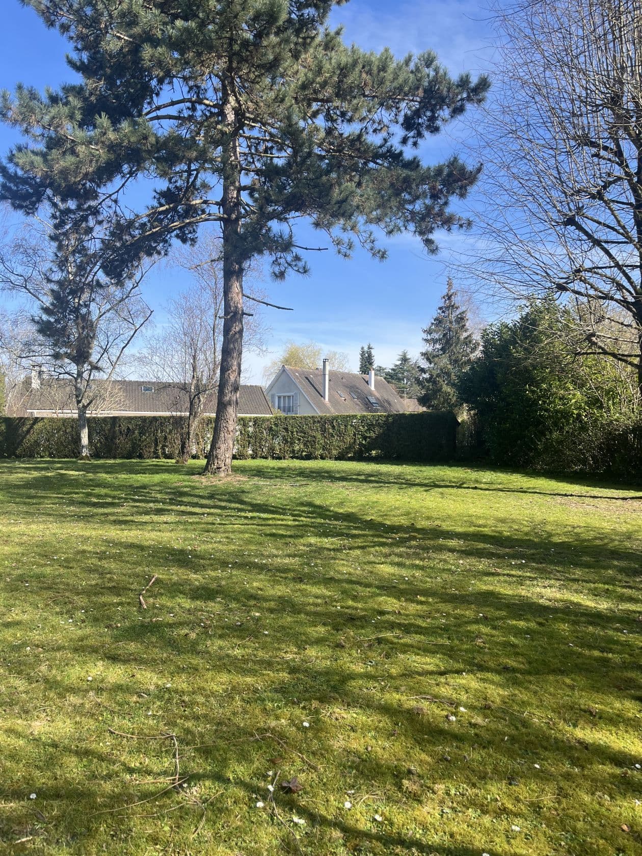 Terrain - Terrain à bâtir de 468 m² à SAINTRY-SUR-SEINE (91) à SAINTRY-SUR-SEINE (91), prix 119 175 €