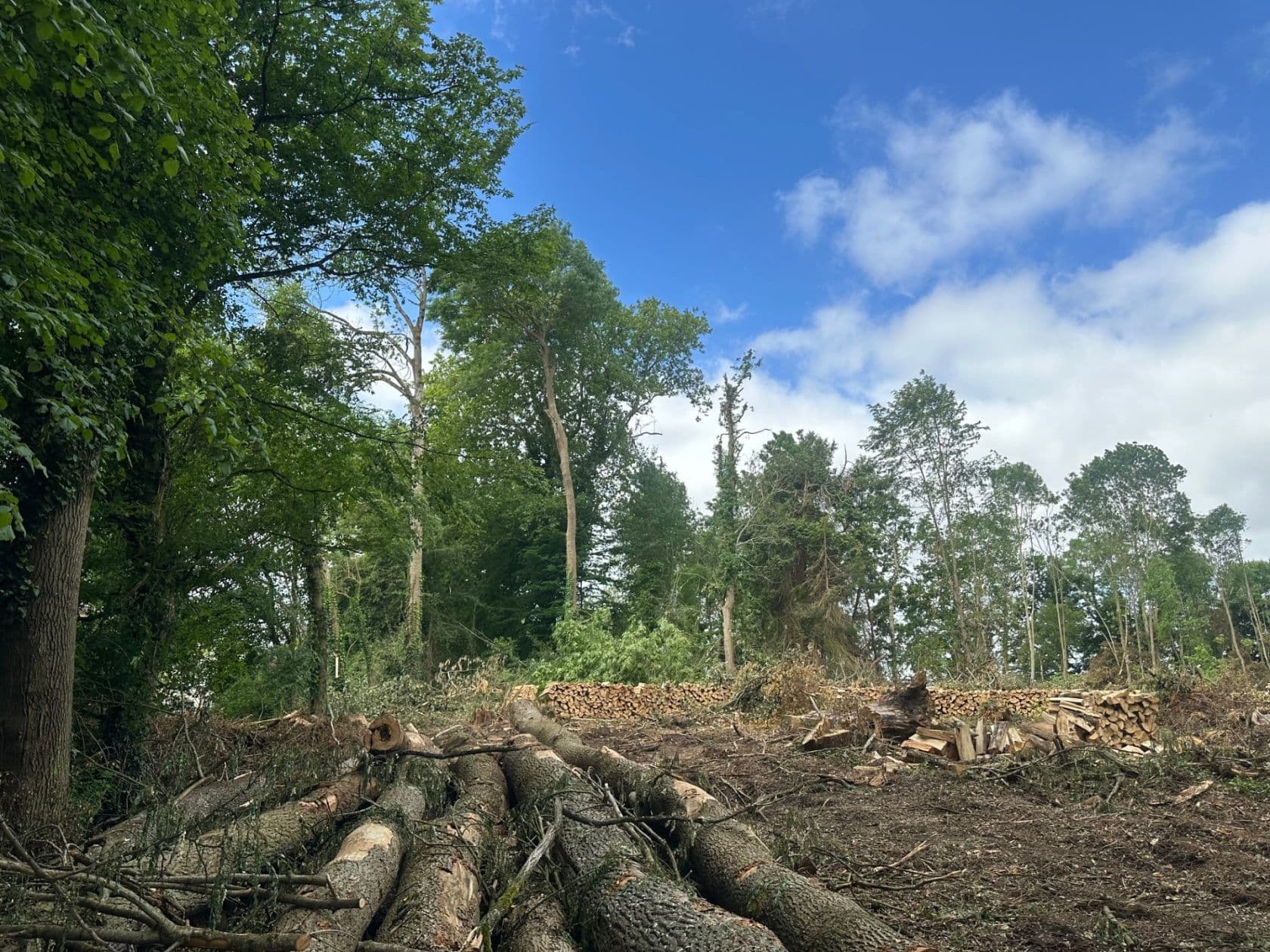 Terrain MAGNY-LE-HONGRE (77) - 930m² - 230000€ (photo 2/6)