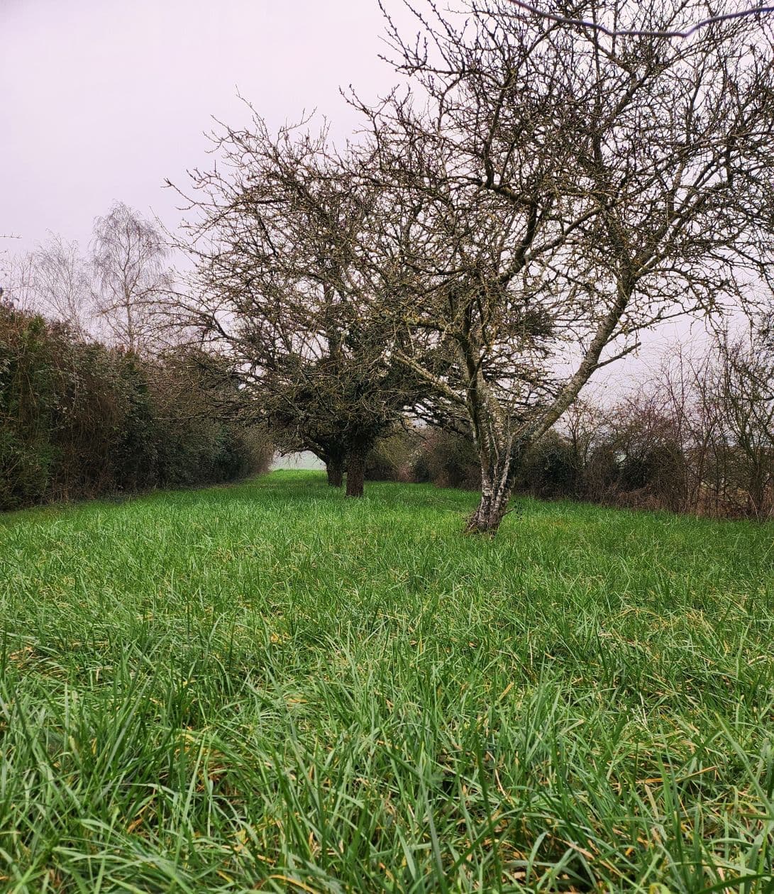 Terrain Rue raymond Paulvaiche (94) - 347m² - 248000€ (photo 5/6)