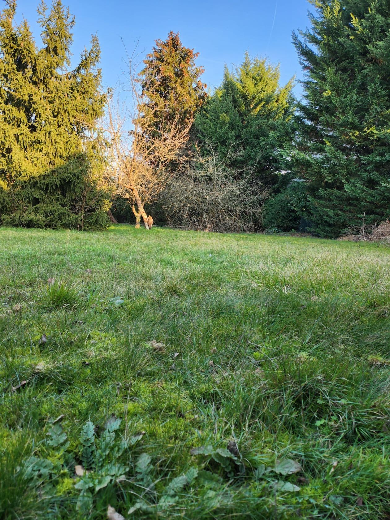 Terrain Rue raymond Paulvaiche (94) - 482m² - 267000€ (photo 3/6)