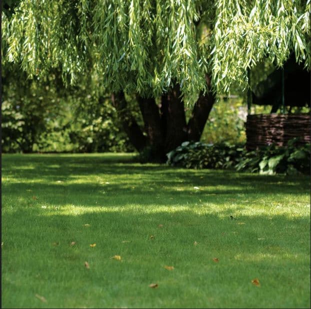 Terrain - Terrain à bâtir de 540 m² à VILLEPARISIS (77) à VILLEPARISIS (77), prix 225 000 €