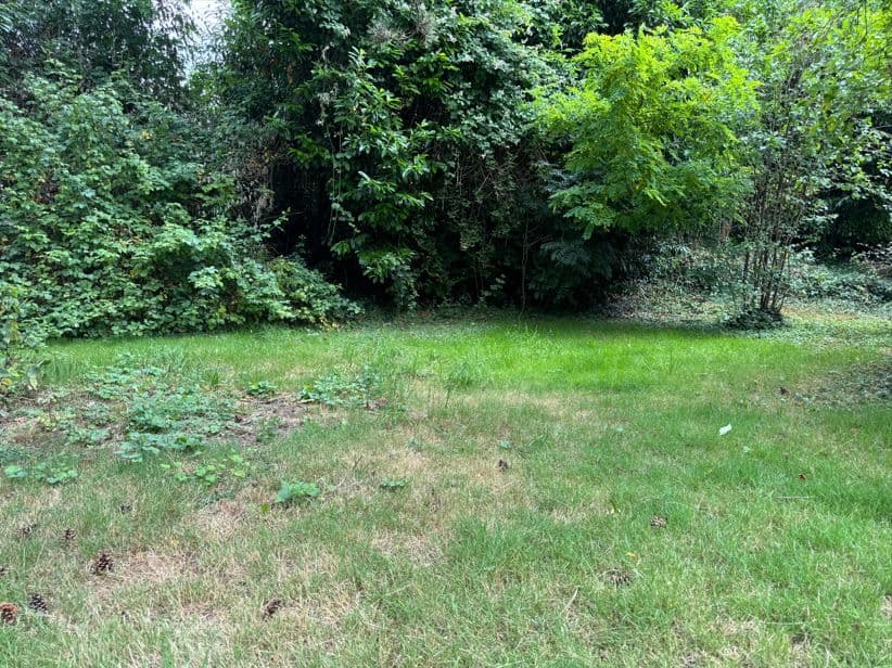 Terrain - Terrain à bâtir de 390 m² à TORCY (77) à TORCY (77), prix 179 000 €