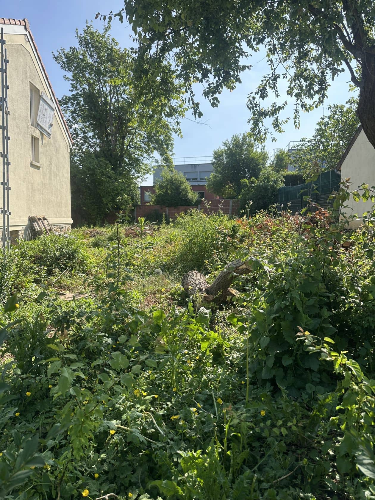 Terrain - Terrain à bâtir de 290 m² à LAGNY-SUR-MARNE (77) à 2 Place de l'Hotel de Ville (77), prix 159 000 €