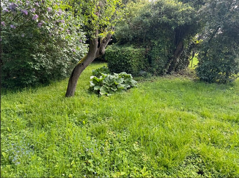 Terrain - Terrain à bâtir de 1200 m² à CLAYE-SOUILLY (77) à CLAYE-SOUILLY (77), prix 339 000 €
