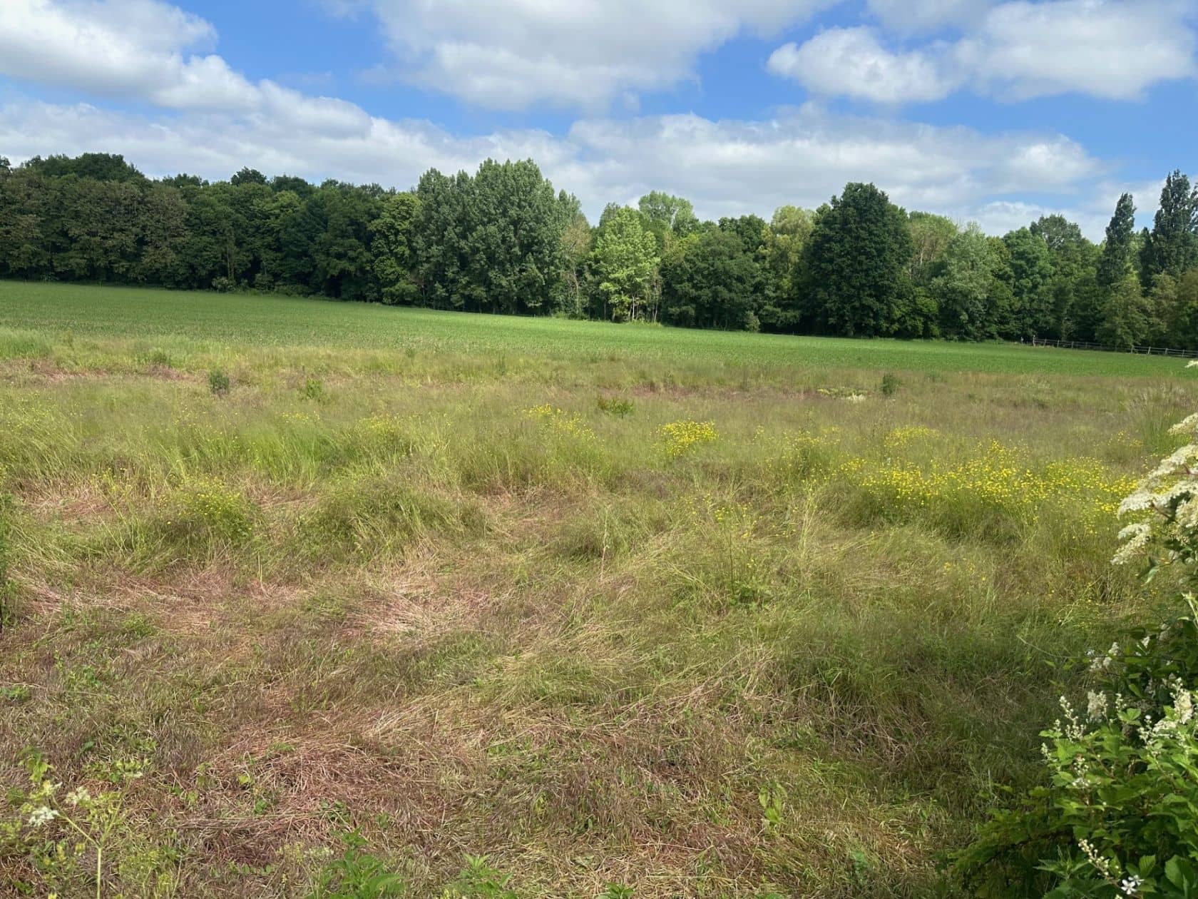 Terrain - Terrain à bâtir de 413 m² à SERRIS (77) à SERRIS (77), prix 101 000 €