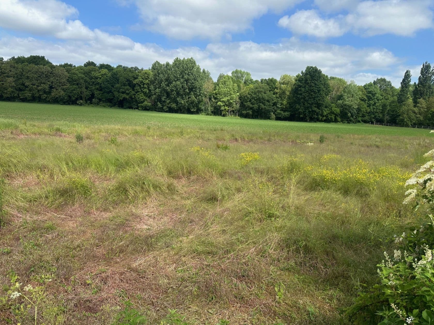 Terrain - Terrain à bâtir de 413 m² à SERRIS (77) à SERRIS (77), prix 101 000 €