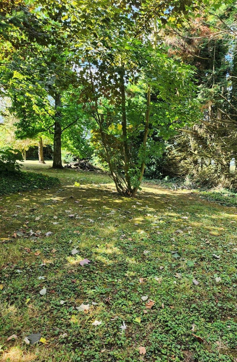 Terrain - Terrain à bâtir de 350 m² à MARLES-EN-BRIE (77) à impasse des tilleuls (77), prix 95 000 €