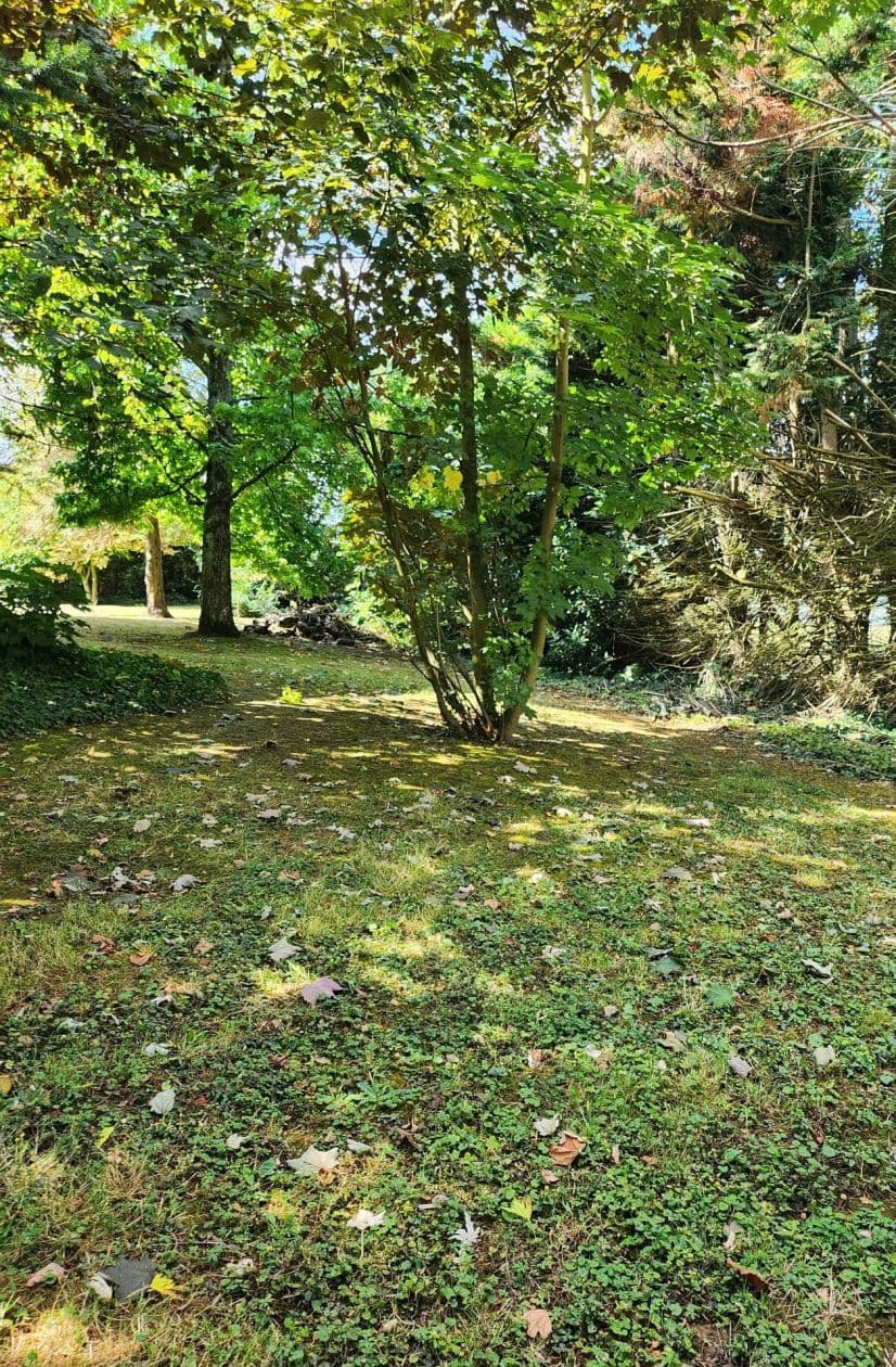 Terrain - Terrain à bâtir de 350 m² à MARLES-EN-BRIE (77) à impasse des tilleuls (77), prix 95 000 €