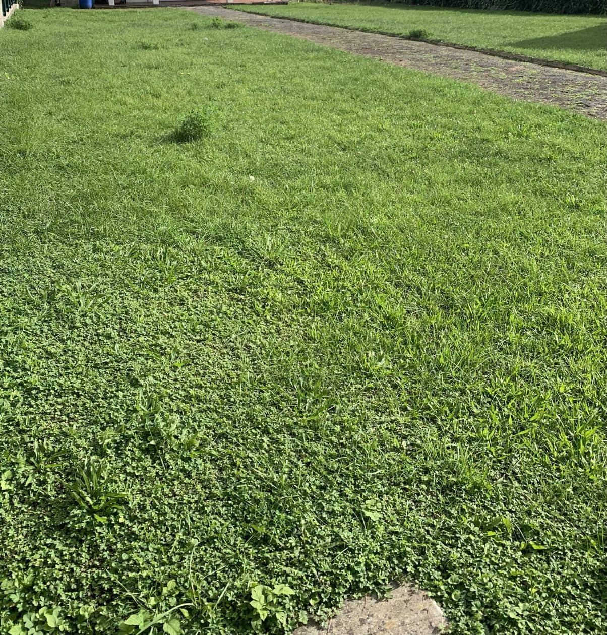 Terrain - Terrain à bâtir de 261 m² à PENCHARD (77) à PENCHARD (77), prix 96 000 €