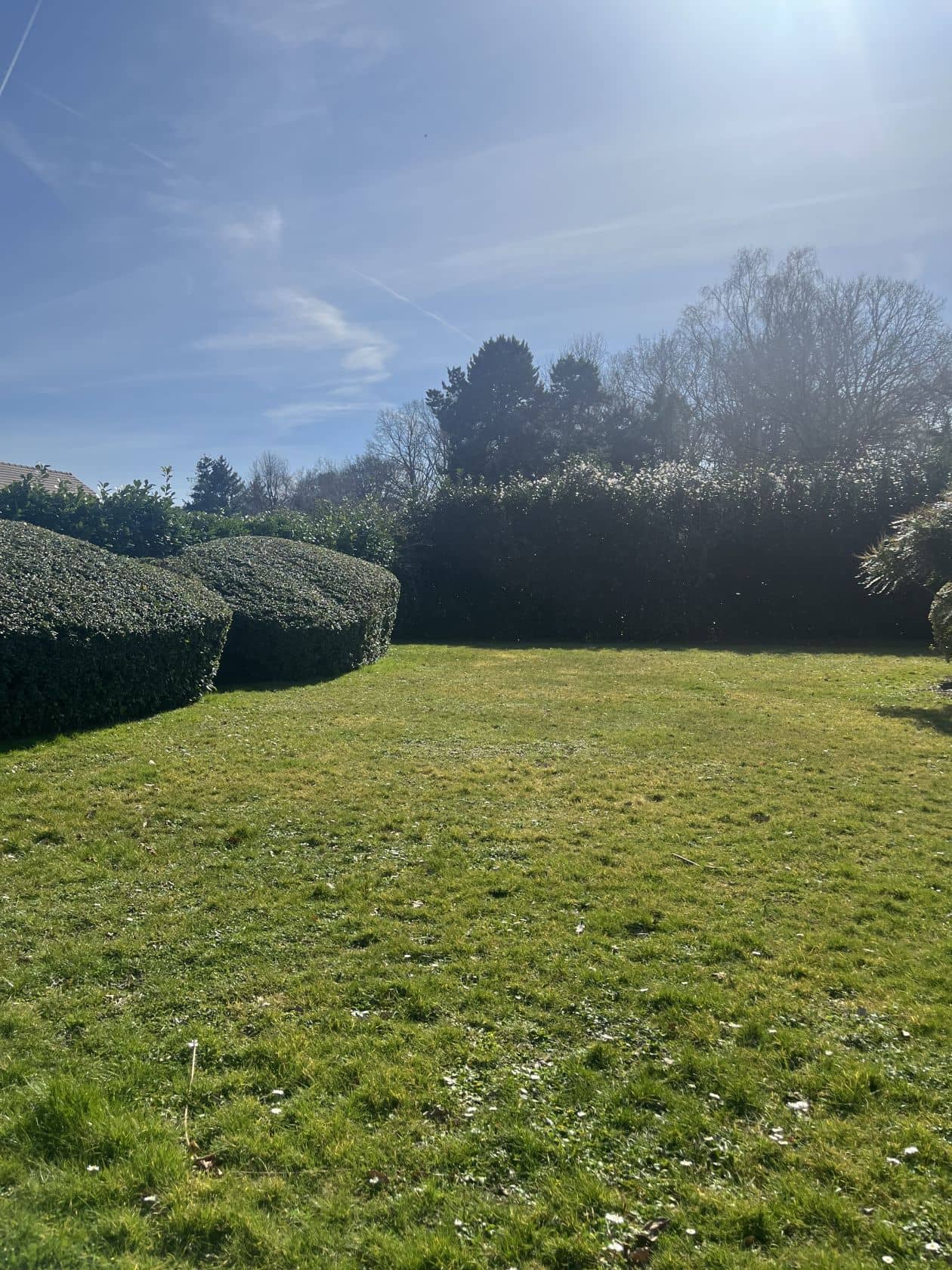 Terrain - Terrain à bâtir de 383 m² à VILLEBON-SUR-YVETTE (91) à VILLEBON-SUR-YVETTE (91), prix 181 000 €