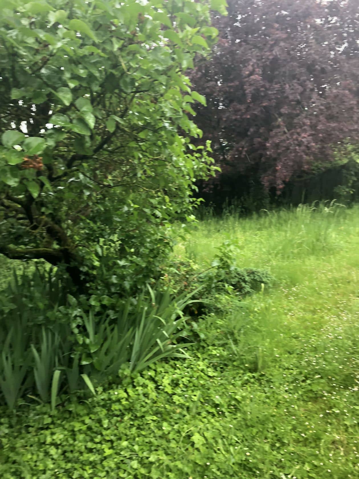 Terrain - Terrain à bâtir de 438 m² à SAINT-REMY-LES-CHEVREUSE (78) à SAINT-REMY-LES-CHEVREUSE (78), prix 255 000 €