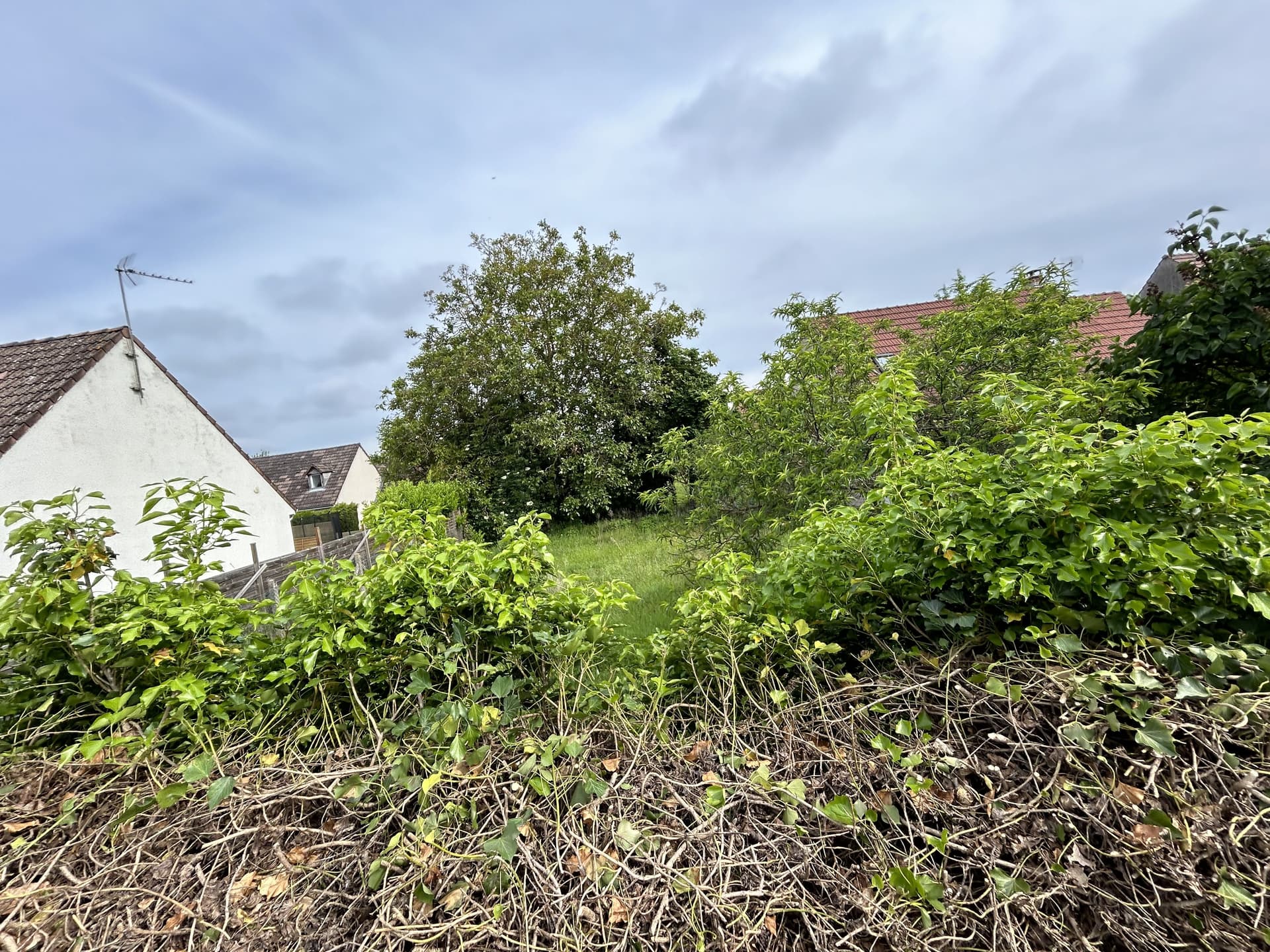 Terrain BESSANCOURT (95) - 605m² - 199998€ (photo 2/6)