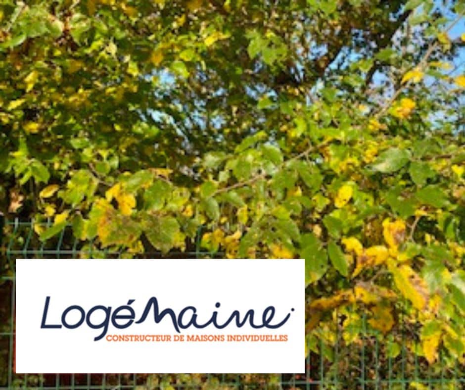 Terrain - Terrain à bâtir de 515 m² à CHEMILLE (49) à RUE DES FLEURS (49), prix 80 500 €