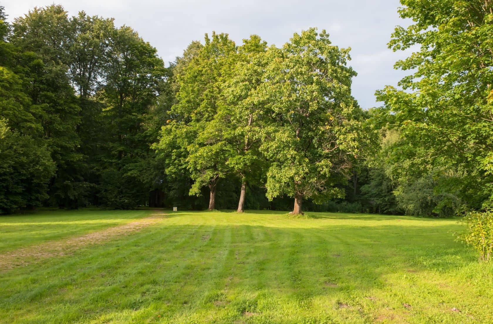 Terrain - Terrain à bâtir de 300 m² à SAINT-THIBAULT-DES-VIGNES (77) à saint thibault des vignes (77), prix 170 000 €