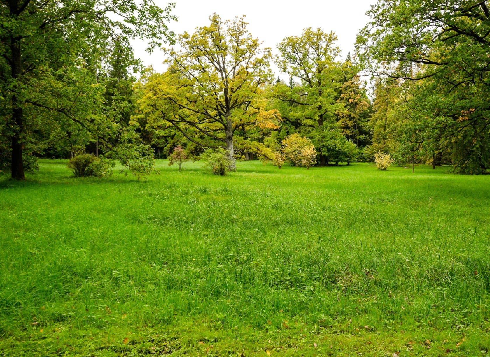 Terrain - Terrain à bâtir de 400 m² à COMBS-LA-VILLE (77) à COMBS-LA-VILLE (77), prix 172 000 €