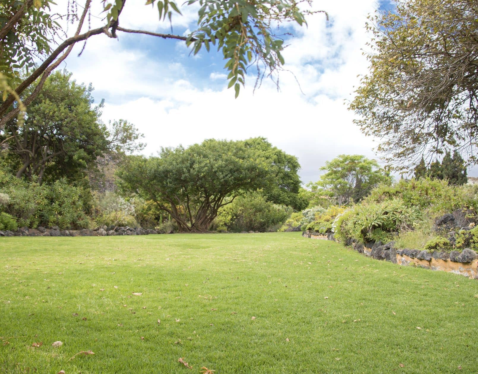 Terrain - Terrain à bâtir de 300 m² à OZOIR-LA-FERRIERE (77) à OZOIR-LA-FERRIERE (77), prix 200 000 €