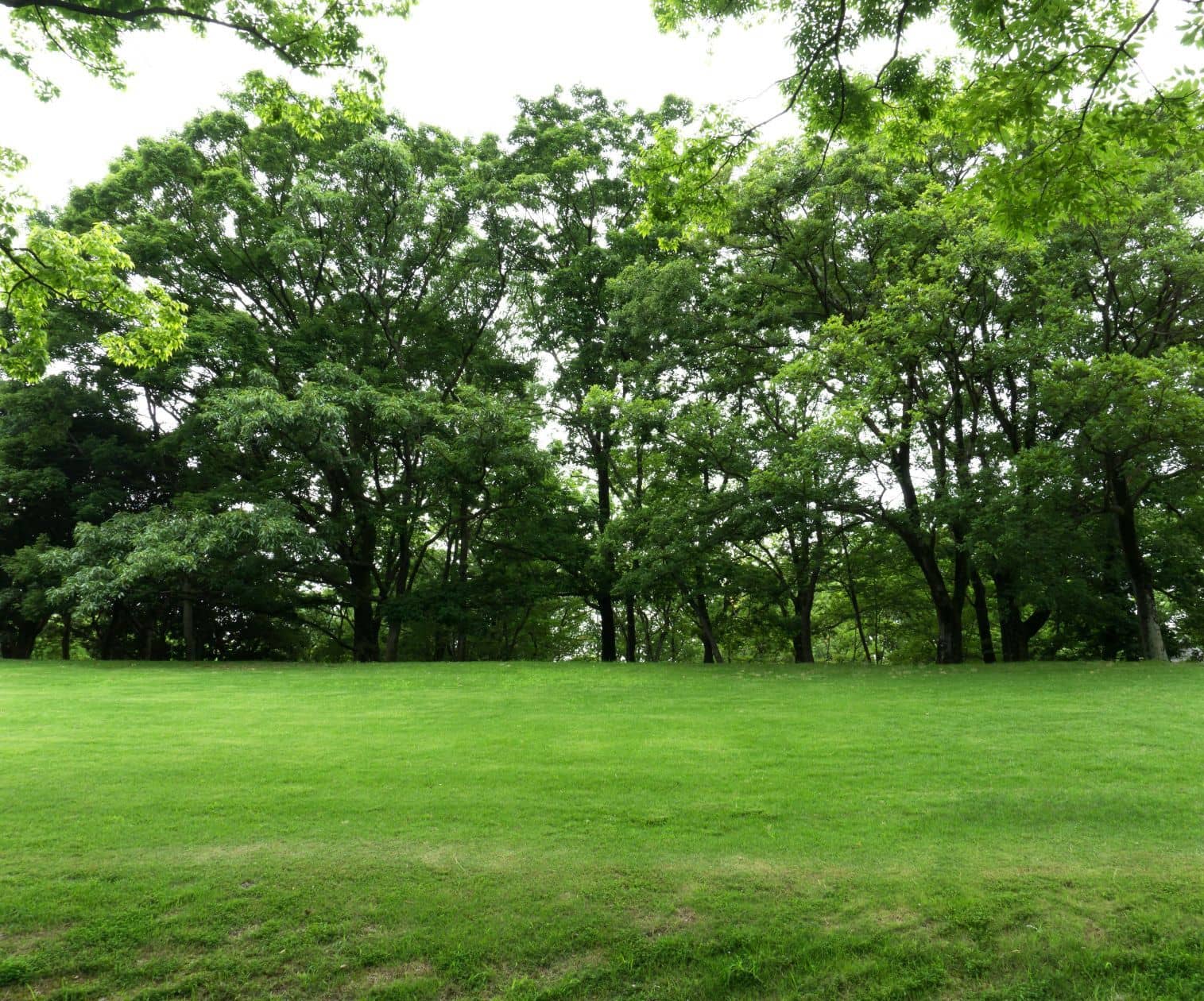 Terrain - Terrain à bâtir de 300 m² à LIMEIL-BREVANNES (94) à LIMEIL-BREVANNES (94), prix 170 000 €