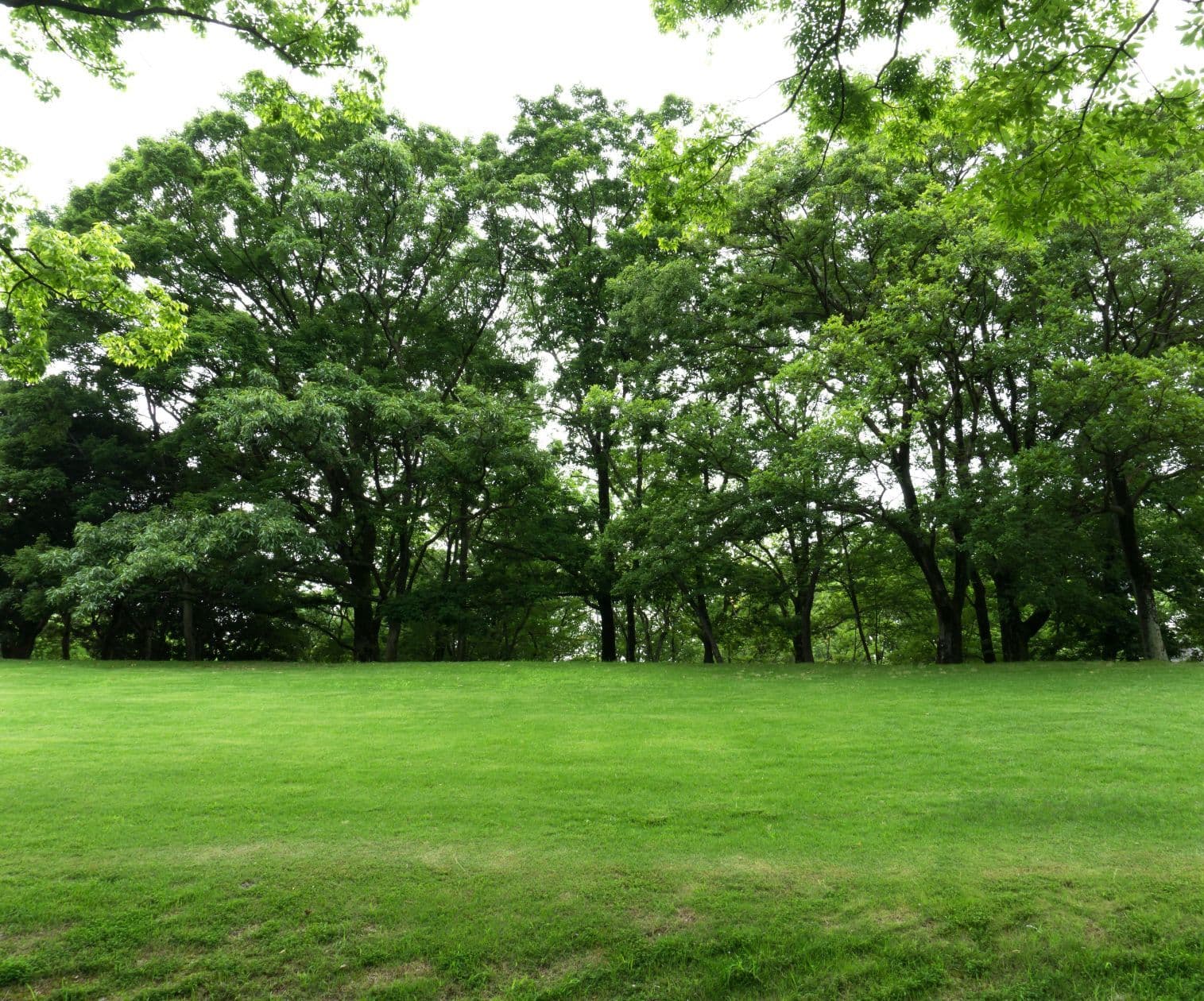 Terrain - Terrain à bâtir de 300 m² à LIMEIL-BREVANNES (94) à LIMEIL-BREVANNES (94), prix 170 000 €