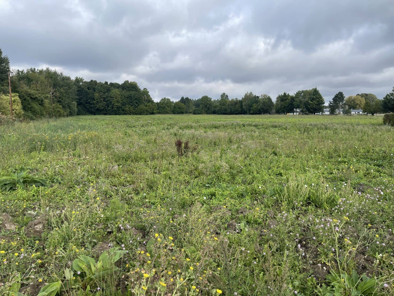 Terrain - Terrain à bâtir de 736 m² à BOUCONVILLERS (60) à RUE RAYMOND PETIT (60), prix 94 900 €