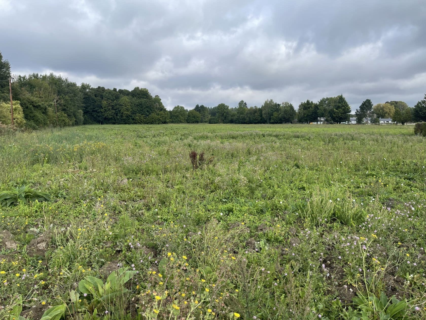 Terrain - Terrain à bâtir de 736 m² à BOUCONVILLERS (60) à RUE RAYMOND PETIT (60), prix 94 900 €